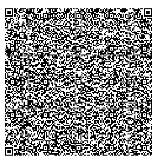 Молитовский Мост Метромост